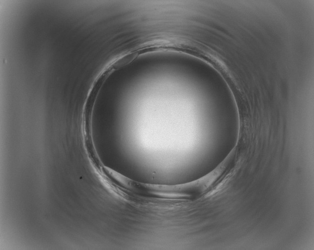 X0000073411034200608040953