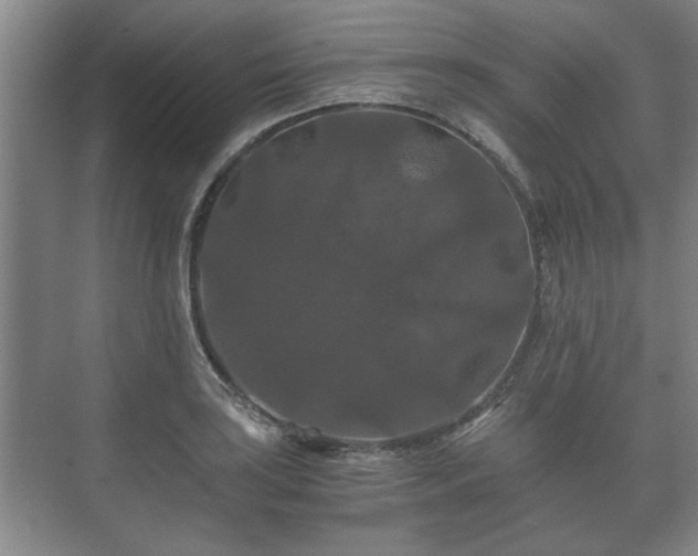 X0000073411035200608040953