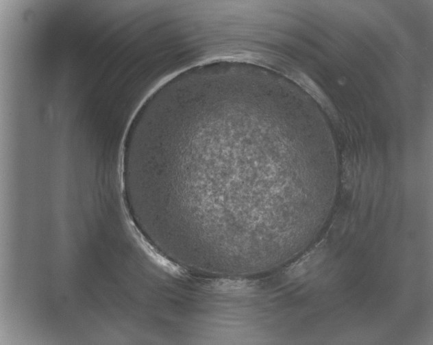 X0000073411036200608040953