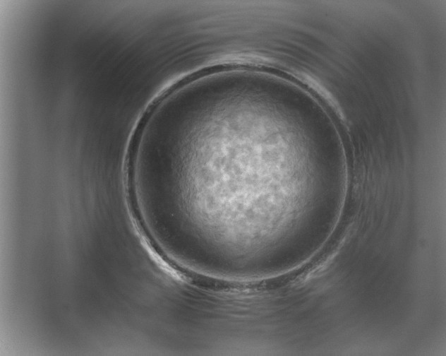 X0000073411037200608040953