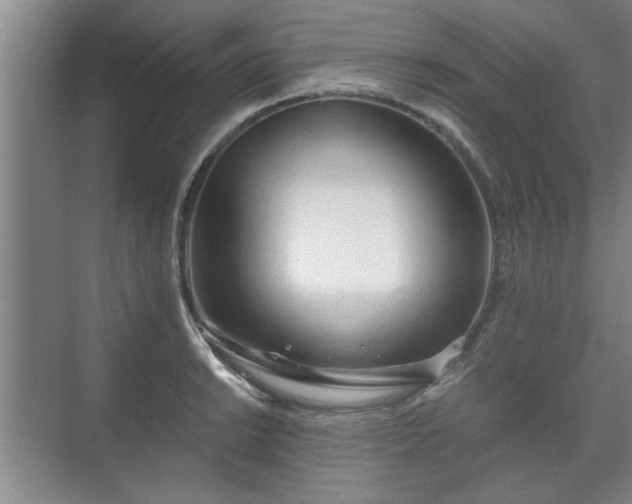 X0000073411038200608040953