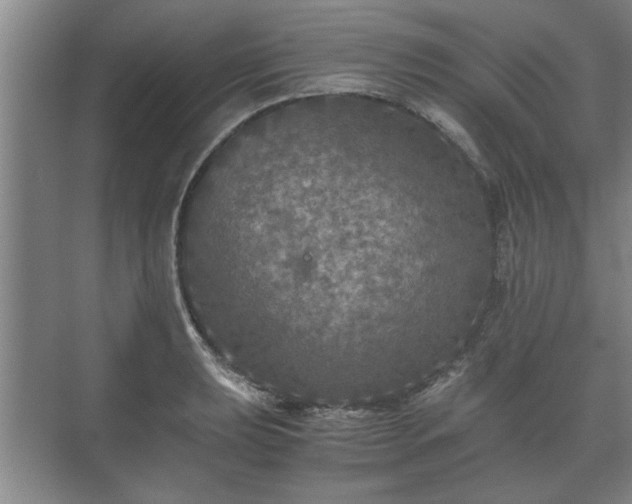 X0000073411039200608040953