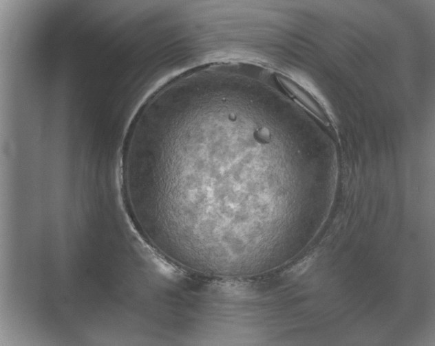 X0000073411040200608040953