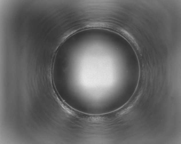 X0000073411041200608040953