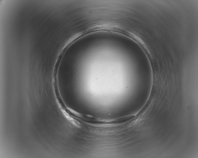 X0000073411042200608040953