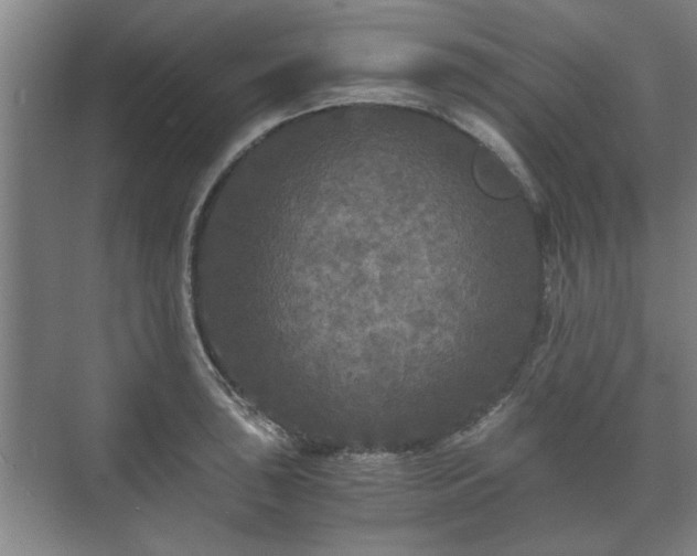 X0000073411043200608040953