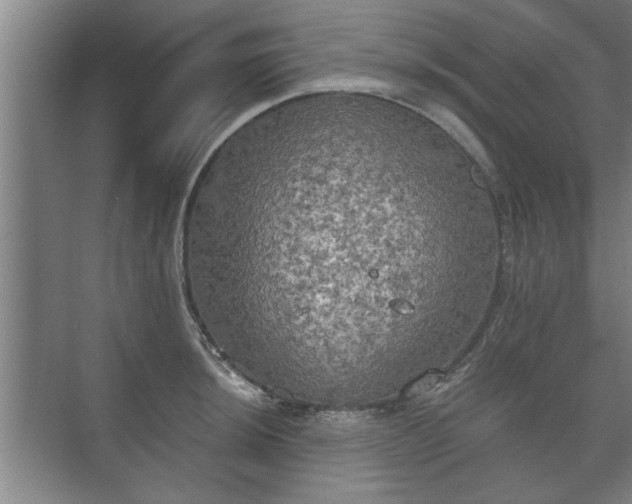 X0000073411044200608040953