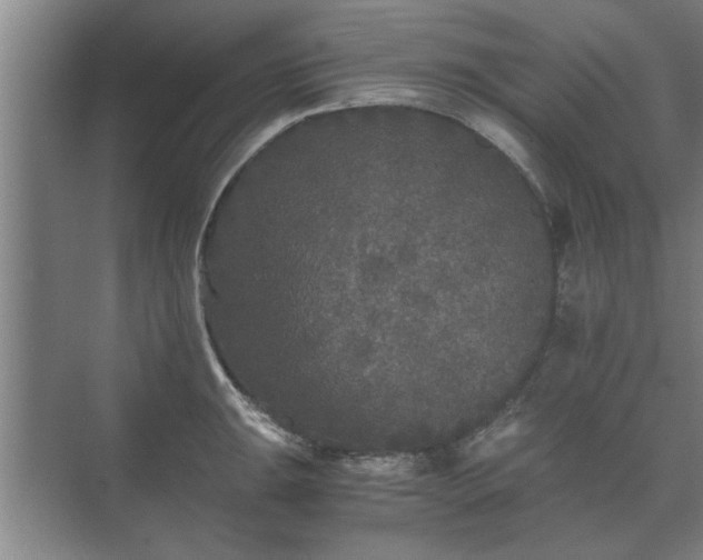 X0000073411047200608040953