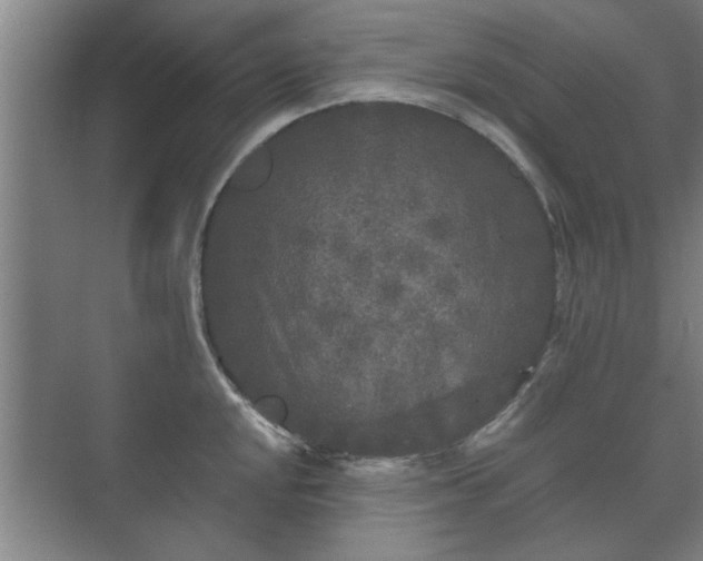 X0000073411048200608040953