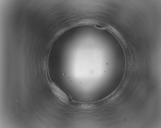 X0000073411049200608040953