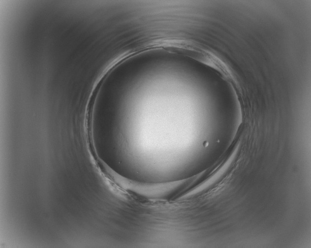 X0000073411050200608040953