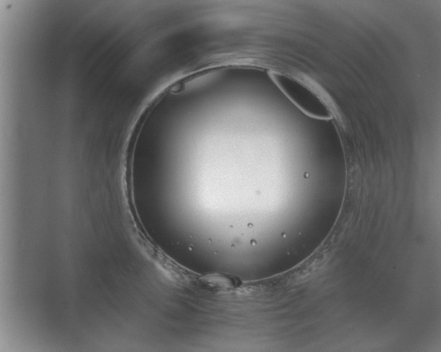 X0000073411051200608040953