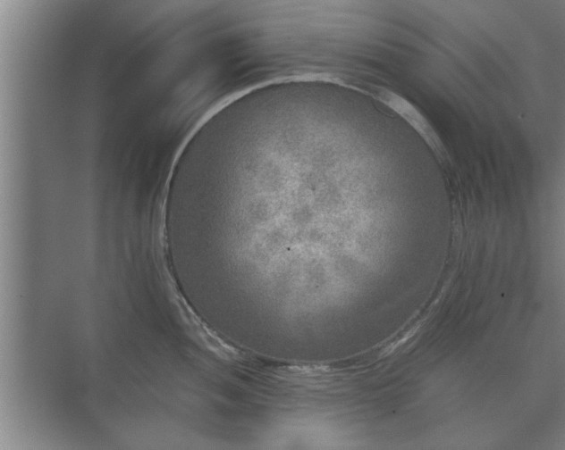 X0000073411052200608040953