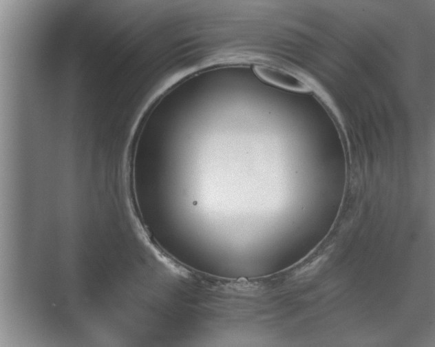 X0000073411053200608040953