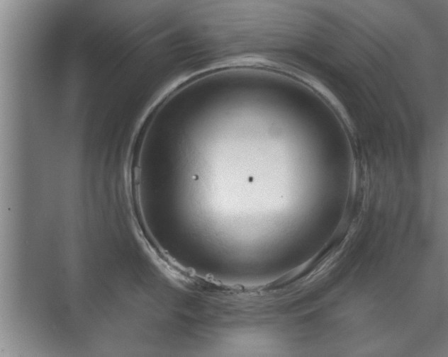 X0000073411054200608040953