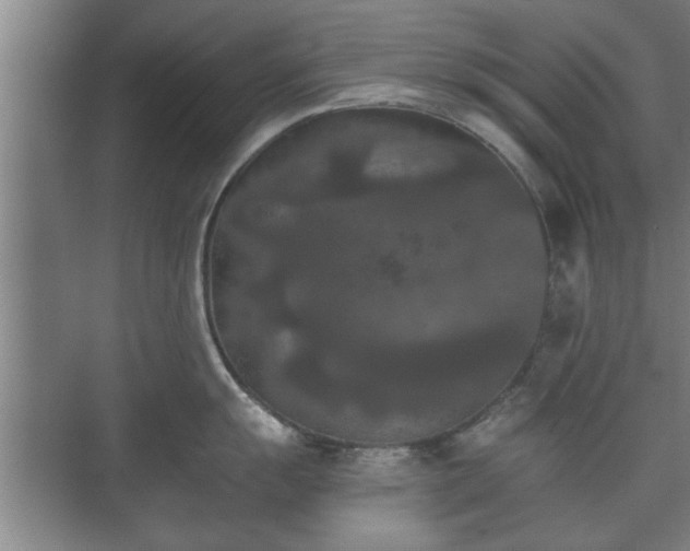 X0000073411055200608040953