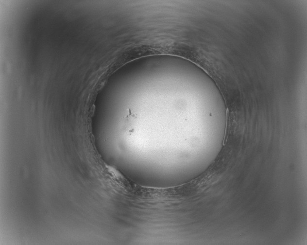 X0000073411057200608040952