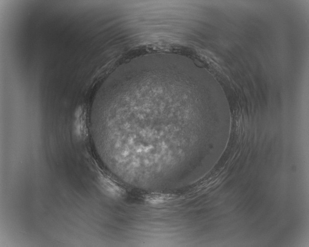 X0000073411060200608040952