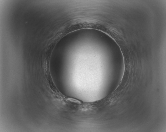 X0000073411061200608040952