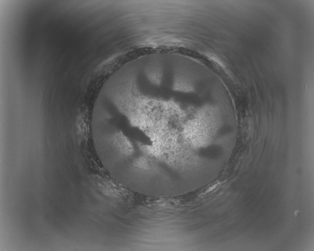 X0000073411063200608040952