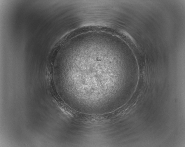 X0000073411064200608040952