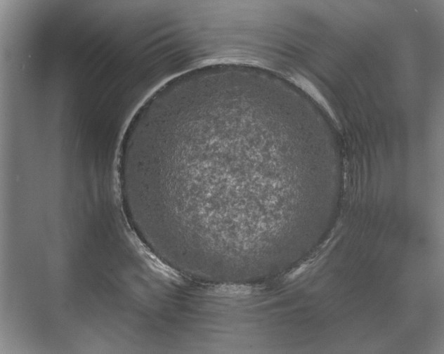 X0000073411068200608040952