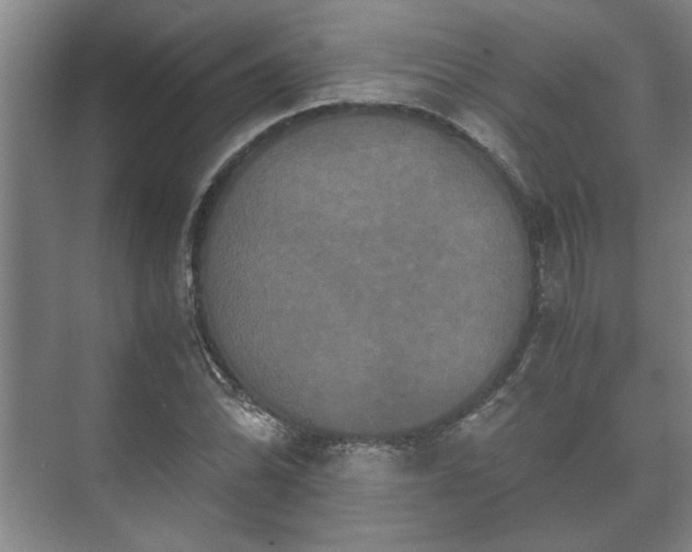 X0000073411070200608040952