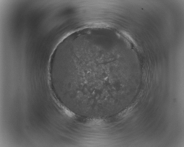 X0000073411071200608040952