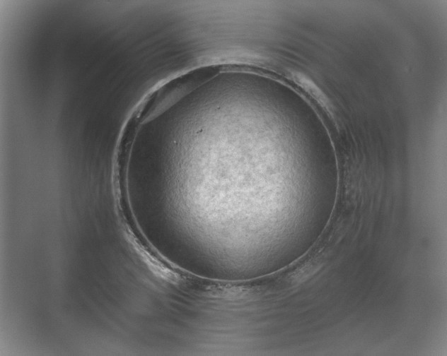 X0000073411072200608040952