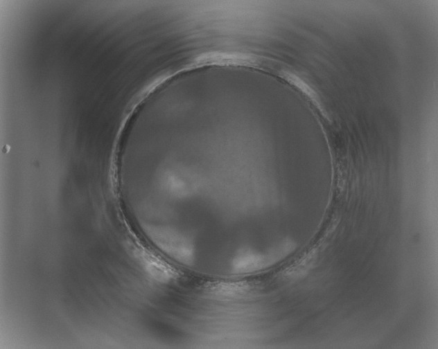 X0000073411074200608040952