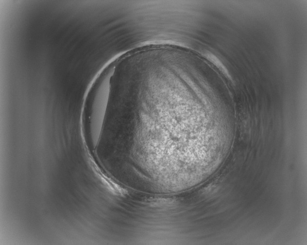 X0000073411076200608040952