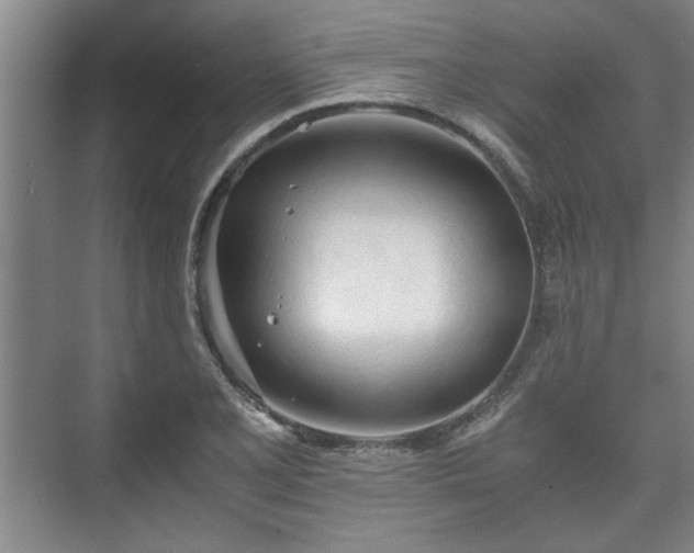 X0000073411077200608040952