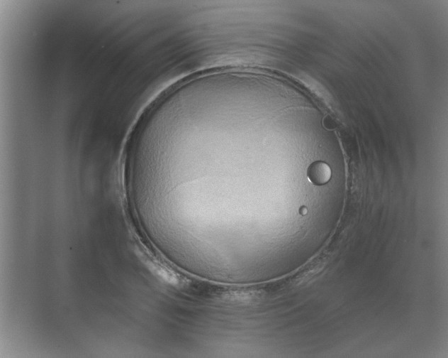 X0000073411078200608040952