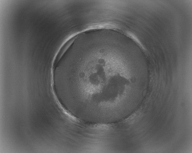 X0000073411079200608040952