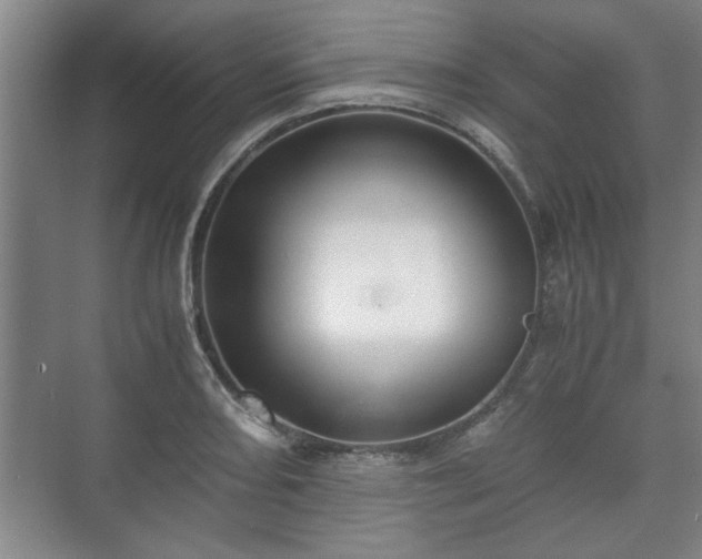 X0000073411082200608040952