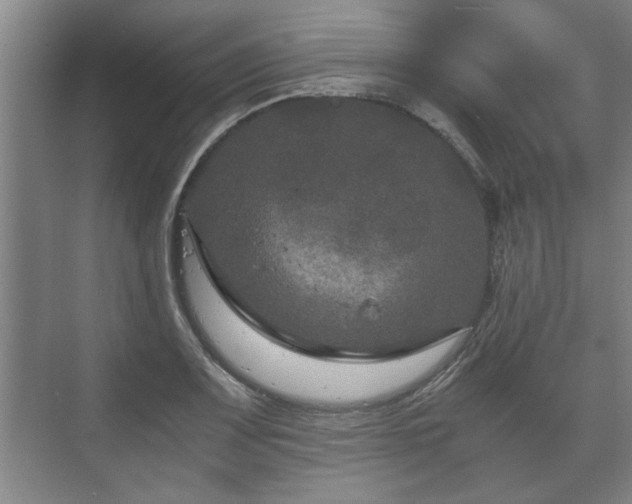 X0000073411083200608040952