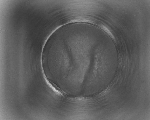 X0000073411084200608040952