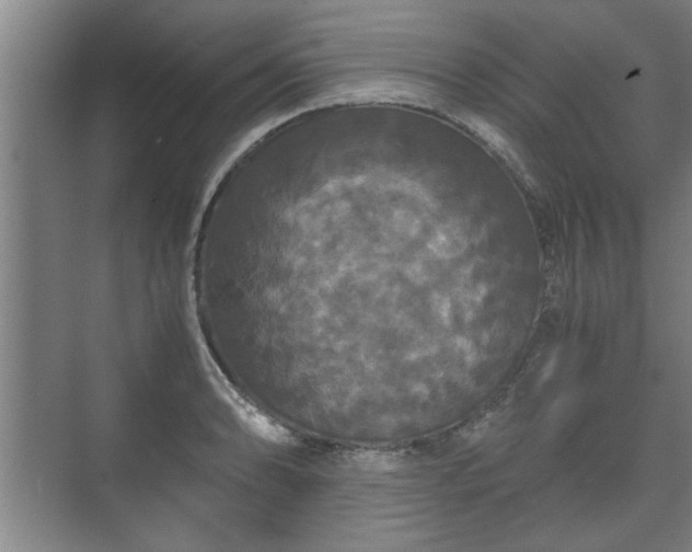 X0000073411086200608040952