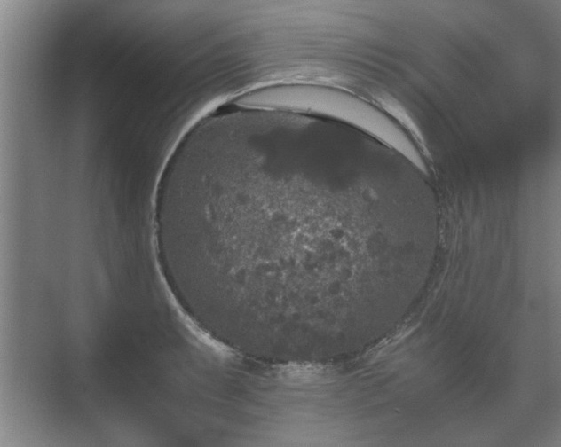 X0000073411087200608040952