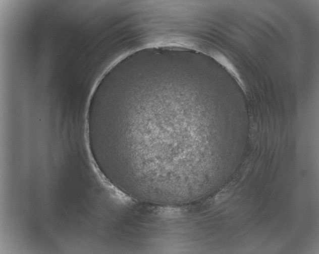 X0000073411088200608040952