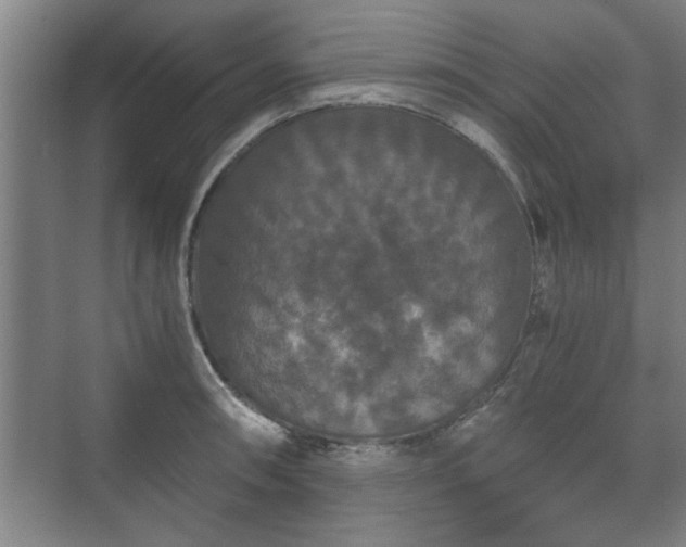 X0000073411090200608040952