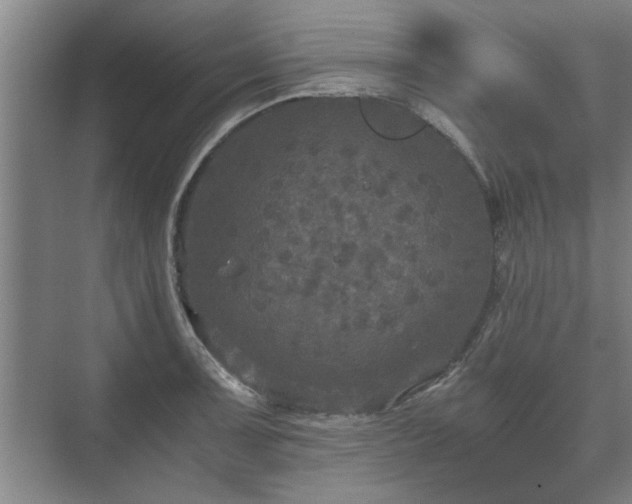 X0000073411091200608040952