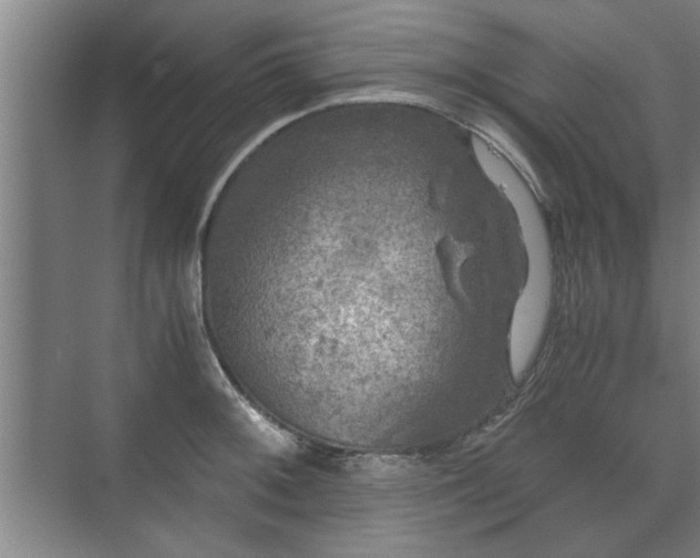 X0000073411092200608040952