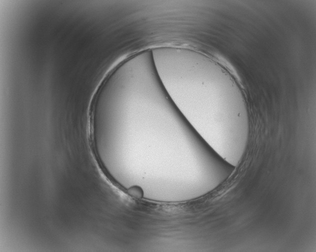 X0000073411095200608040952