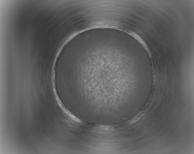 X0000073411096200608040952