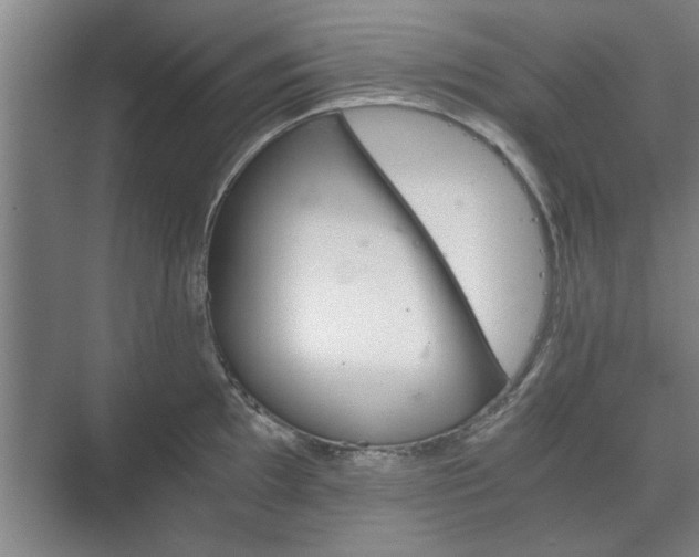 X0000073411097200608040952