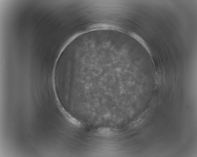 X0000073411098200608040952