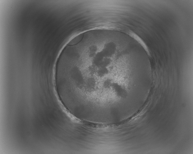 X0000073411099200608040952