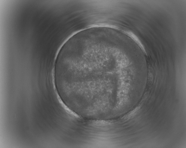 X0000073411100200608040952