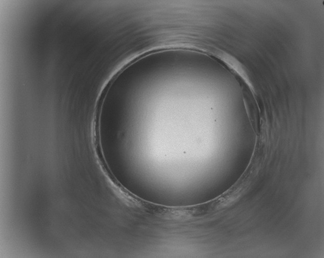 X0000073411101200608040952